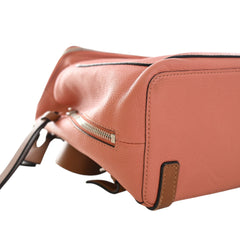 Small Leather Goya Backpack Pink - Lab Luxury Resale