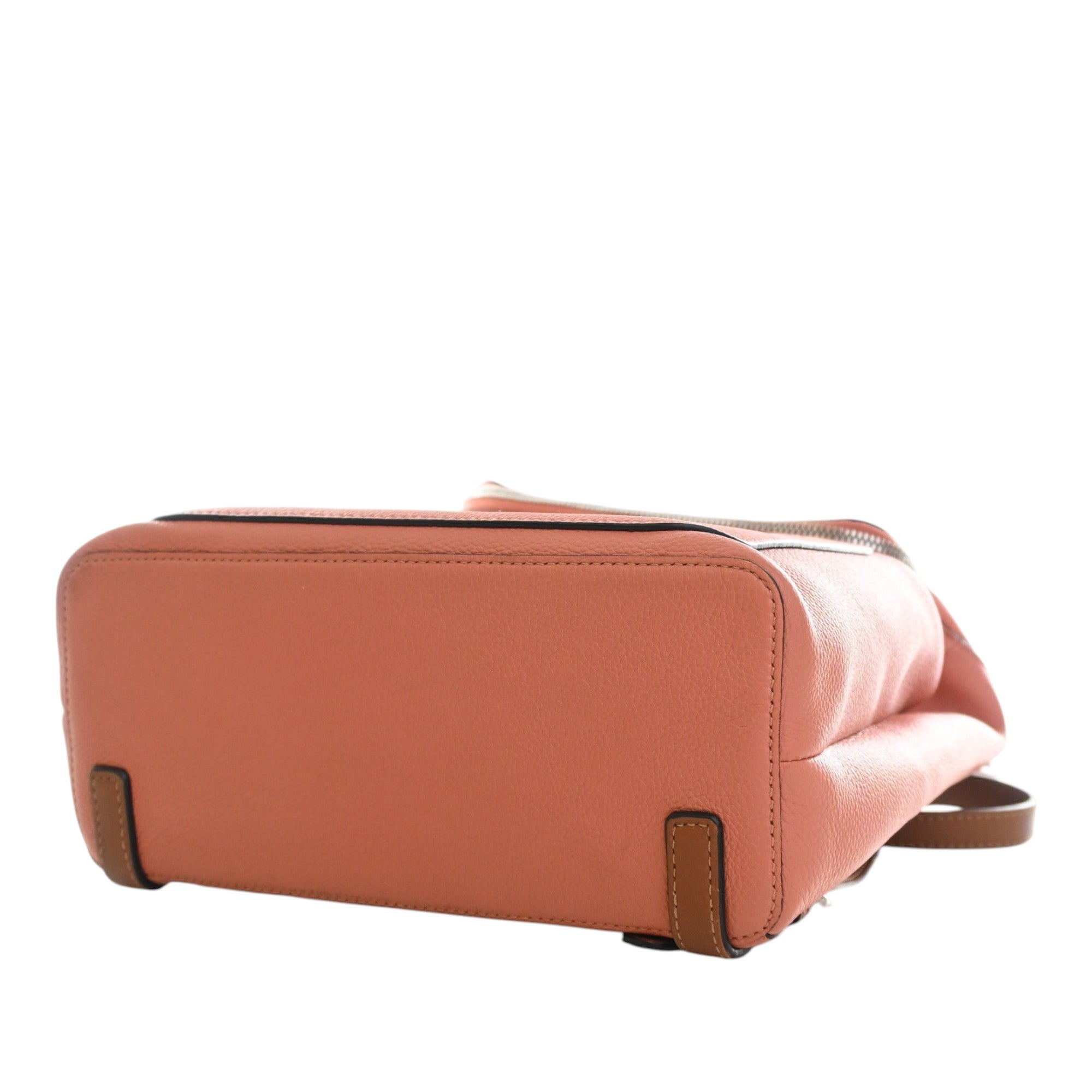 Small Leather Goya Backpack Pink - Lab Luxury Resale