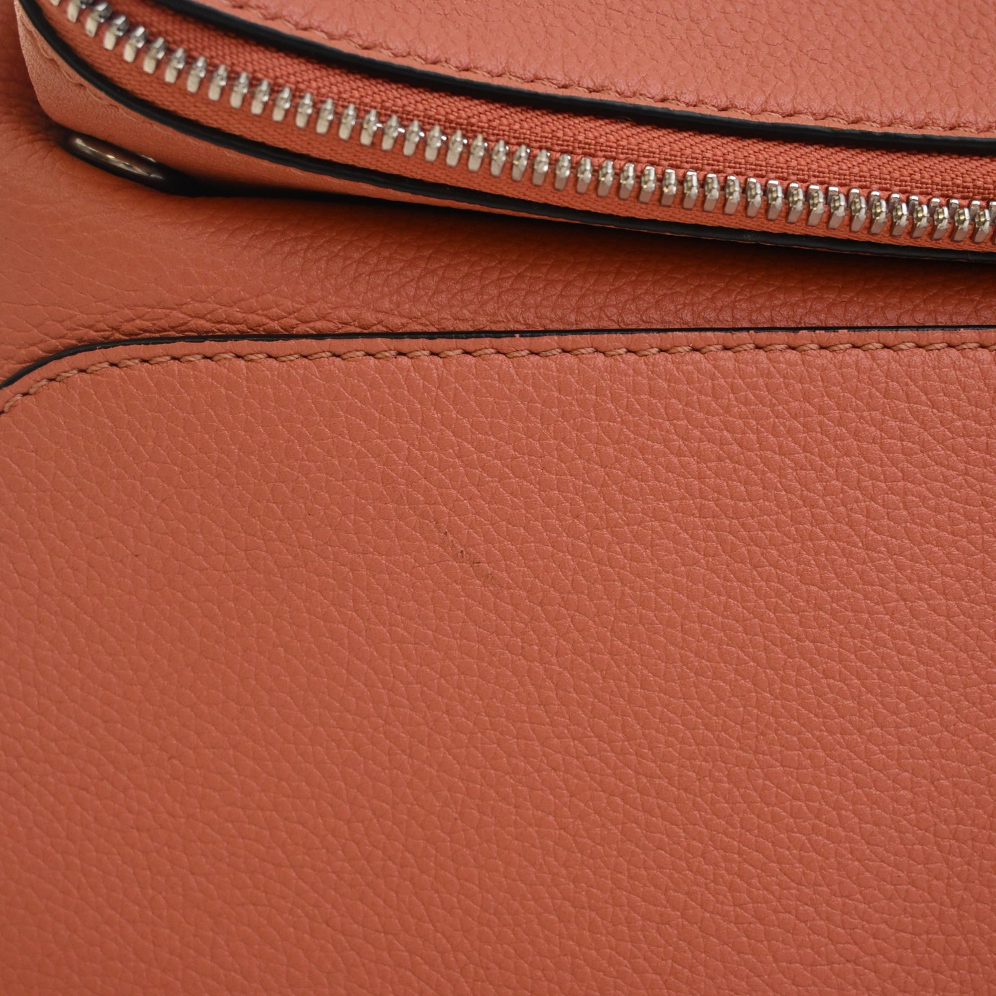 Small Leather Goya Backpack Pink - Lab Luxury Resale