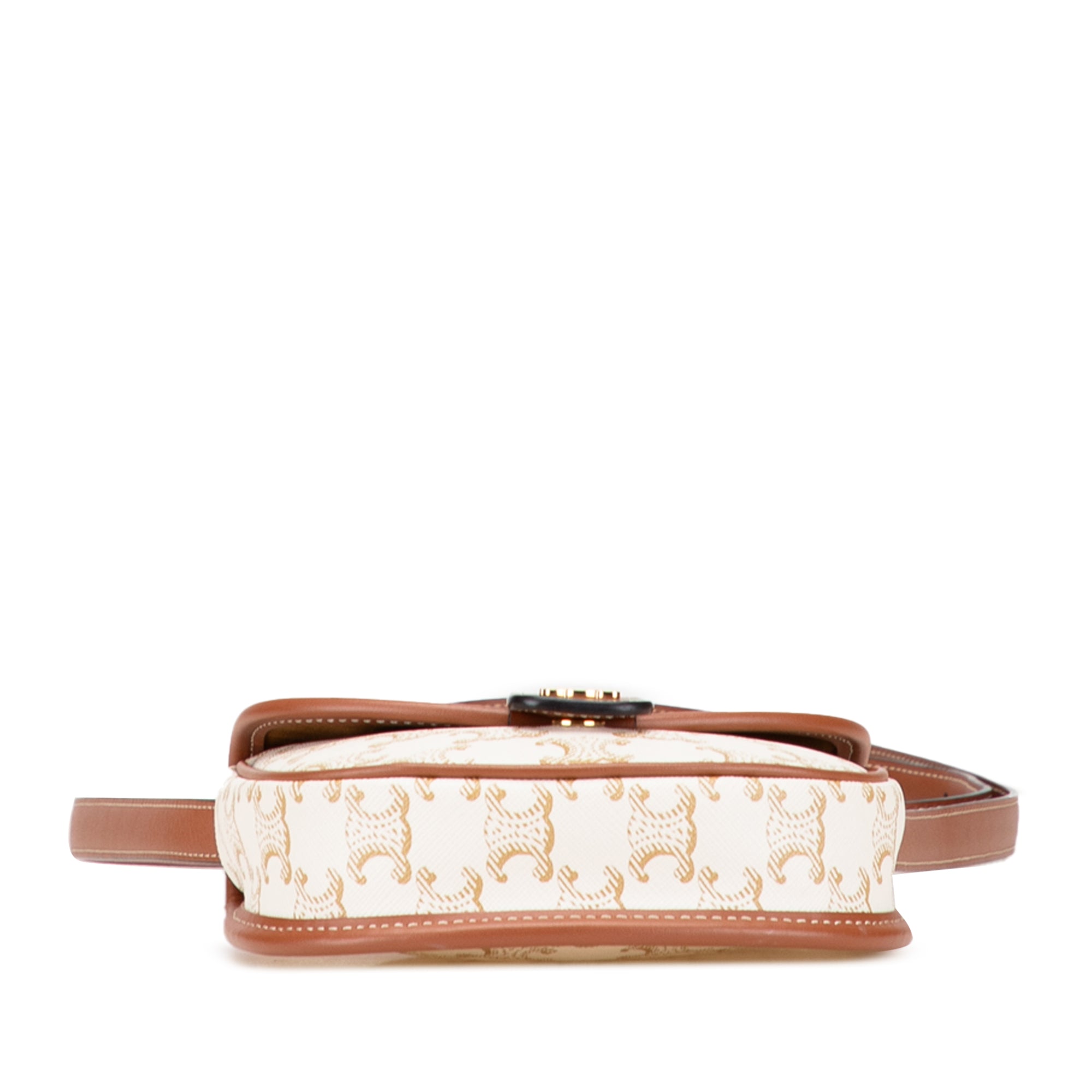 Mini Triomphe Coated Canvas Besace Crossbody Brown - Lab Luxury Resale