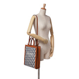 Celine Small Triomphe Canvas Maillon Vertical Cabas Satchel