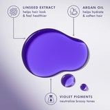 Moroccanoil Treatment Purple Hair Oil for Blonde Hair 50ml NIB