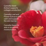 Shiseido  Ultimune Power Infusing Serum for Radiance & Wrinkles 75ml - LAB