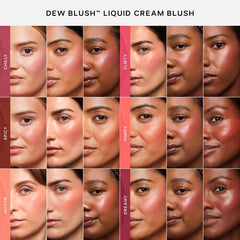 Saie Dew Blush liquid blush in Lady NIB, featuring a blendable formula and natural rosy shade, shown in a close-up image.